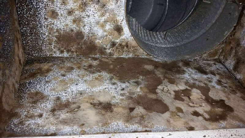 Air Duct Mold Removal and Air Duct Mold Remediation in Reston, VA