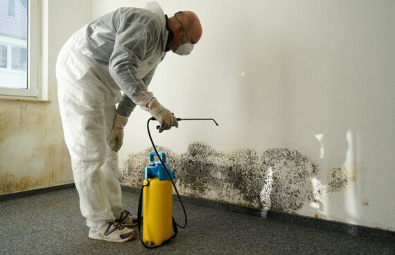 Mold Remediation for a Building in Columbia, MD 
